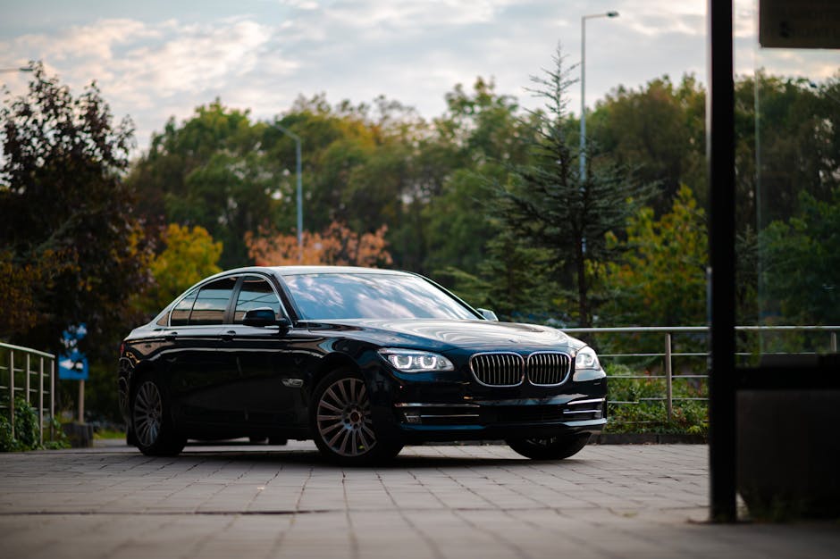Elegant black sedan parked on pavement with green foliage background on a sunny day